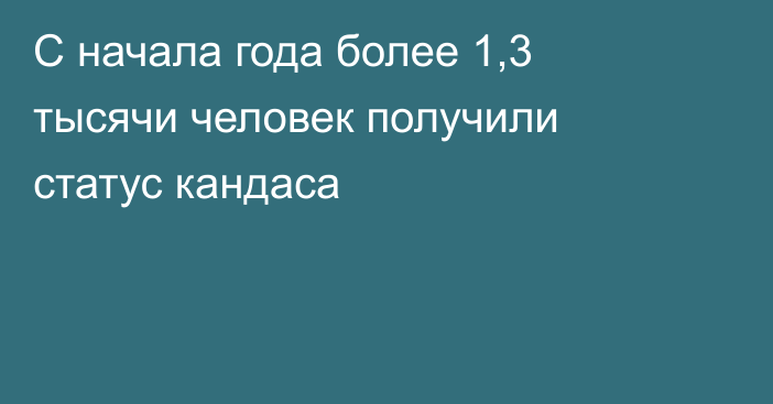 С начала года более 1,3 тысячи человек получили статус кандаса