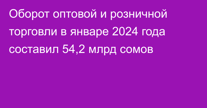 Оборот оптовой и розничной торговли в январе 2024 года составил 54,2 млрд сомов 