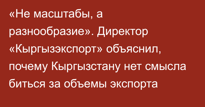 «Не масштабы, а разнообразие». Директор «Кыргызэкспорт» объяснил, почему Кыргызстану нет смысла биться за объемы экспорта