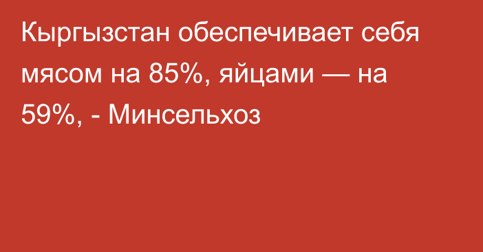 Кыргызстан обеспечивает себя мясом на 85%, яйцами — на 59%, - Минсельхоз