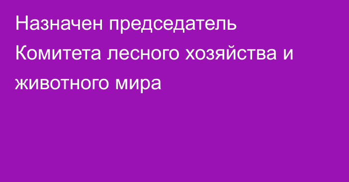 Назначен председатель Комитета лесного хозяйства и животного мира