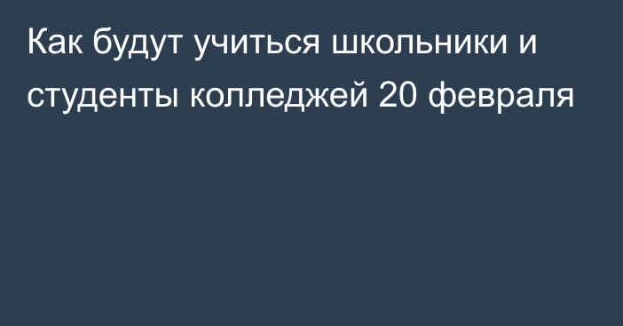 Как будут учиться школьники и студенты колледжей 20 февраля