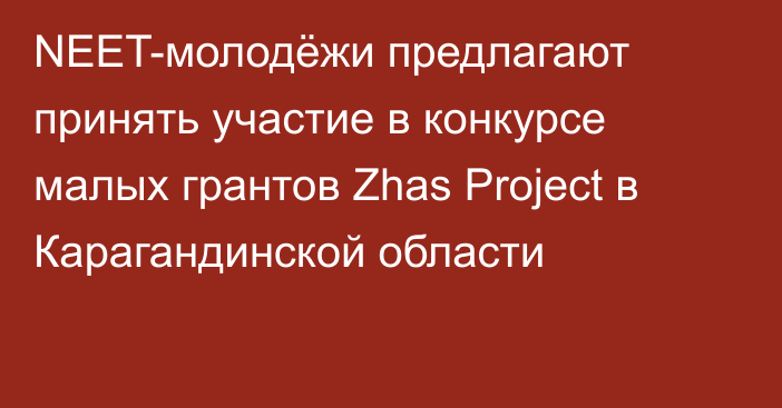 NEET-молодёжи предлагают принять участие в конкурсе малых грантов Zhas Project в Карагандинской области