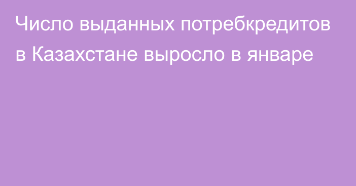 Число выданных потребкредитов в Казахстане выросло в январе