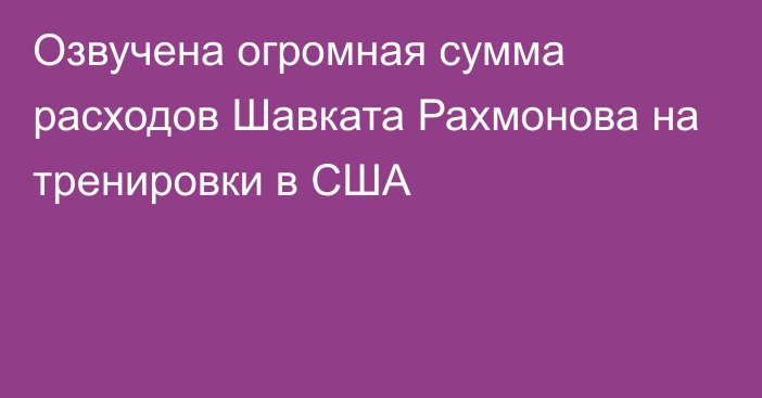 Озвучена огромная сумма расходов Шавката Рахмонова на тренировки в США