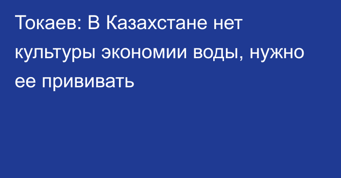 Токаев: В Казахстане нет культуры экономии воды, нужно ее прививать