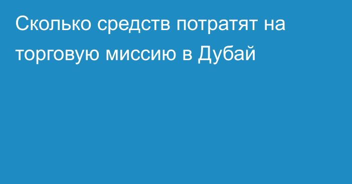 Сколько средств потратят на торговую миссию в Дубай