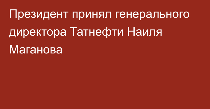 Президент принял генерального директора Татнефти Наиля Маганова