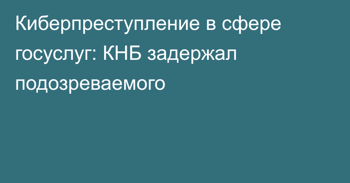 Киберпреступление в сфере госуслуг: КНБ задержал подозреваемого