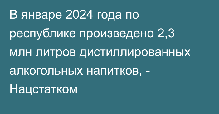 В январе 2024 года по республике произведено 2,3 млн литров дистиллированных алкогольных напитков, - Нацстатком