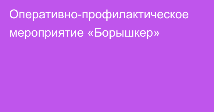 Оперативно-профилактическое мероприятие «Борышкер»