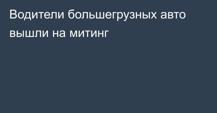 Водители большегрузных авто вышли на митинг