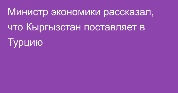 Министр экономики рассказал, что Кыргызстан поставляет в Турцию