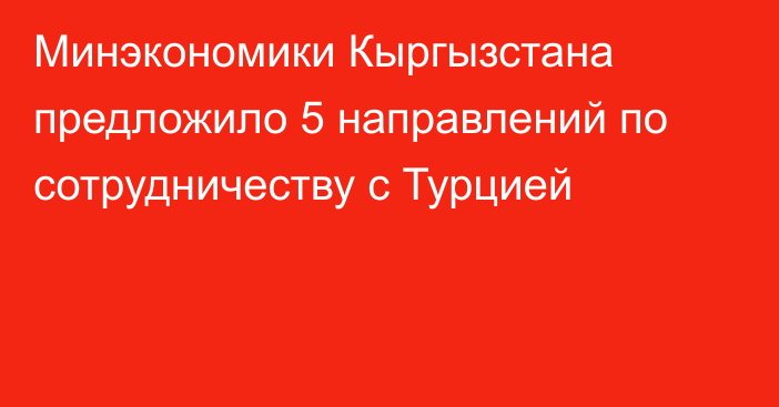 Минэкономики Кыргызстана предложило 5 направлений по сотрудничеству с Турцией