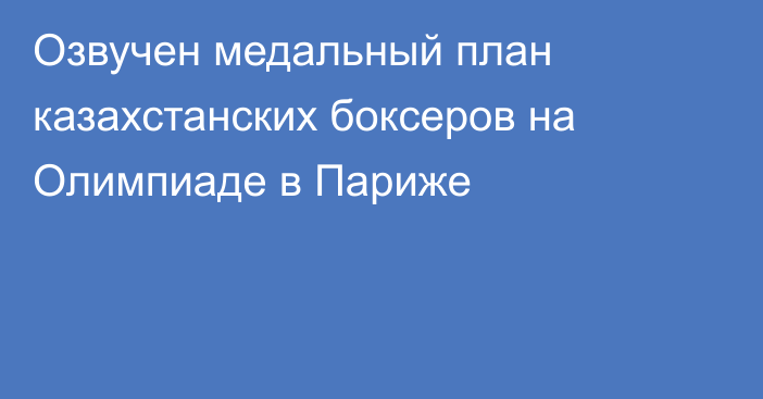 Озвучен медальный план казахстанских боксеров на Олимпиаде в Париже