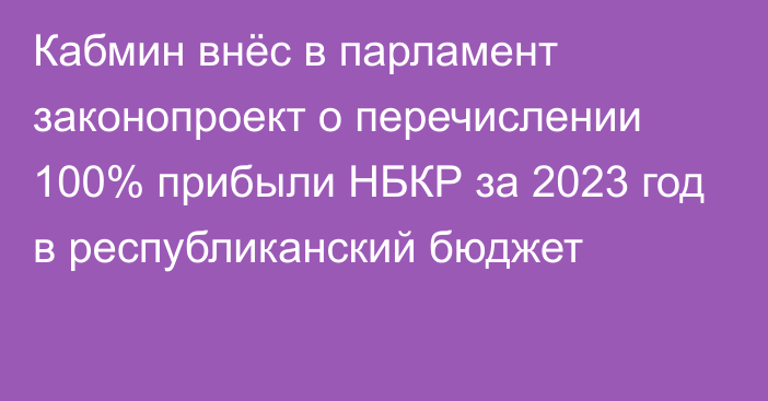 Кабмин внёс в парламент законопроект о перечислении 100% прибыли НБКР за 2023 год в республиканский бюджет