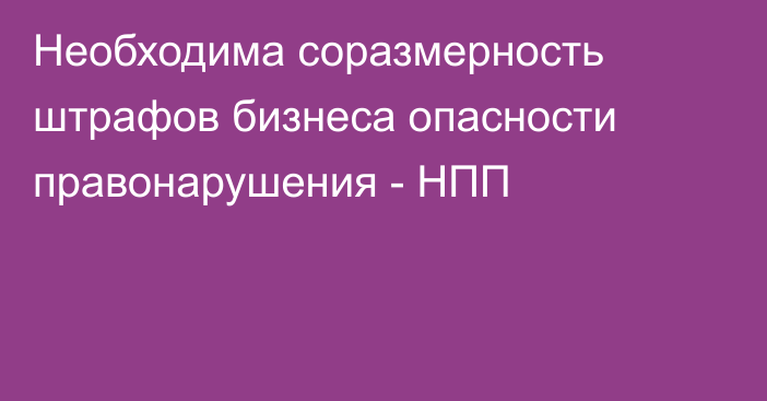 Необходима соразмерность штрафов бизнеса опасности правонарушения - НПП