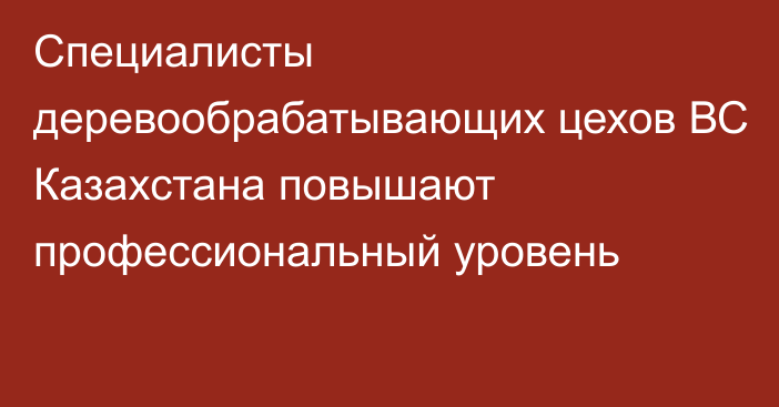 Специалисты деревообрабатывающих цехов ВС Казахстана повышают профессиональный уровень