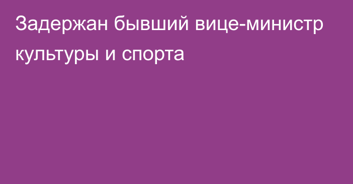 Задержан бывший вице-министр культуры и спорта