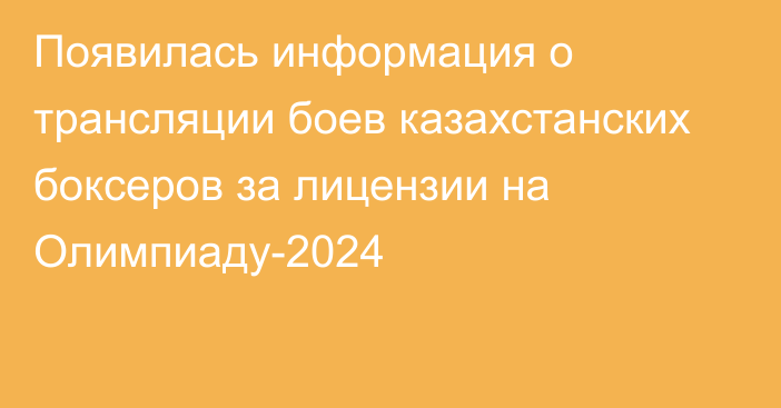 Появилась информация о трансляции боев казахстанских боксеров за лицензии на Олимпиаду-2024