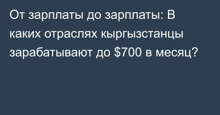 От зарплаты до зарплаты: В каких отраслях кыргызстанцы зарабатывают до $700 в месяц?