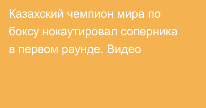 Казахский чемпион мира по боксу нокаутировал соперника в первом раунде. Видео