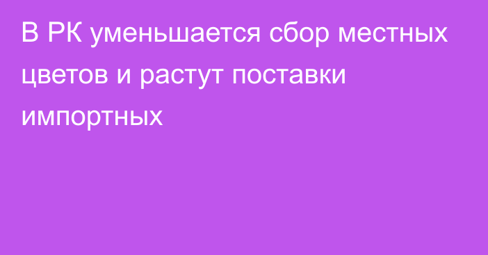 В РК уменьшается сбор местных цветов и растут поставки импортных