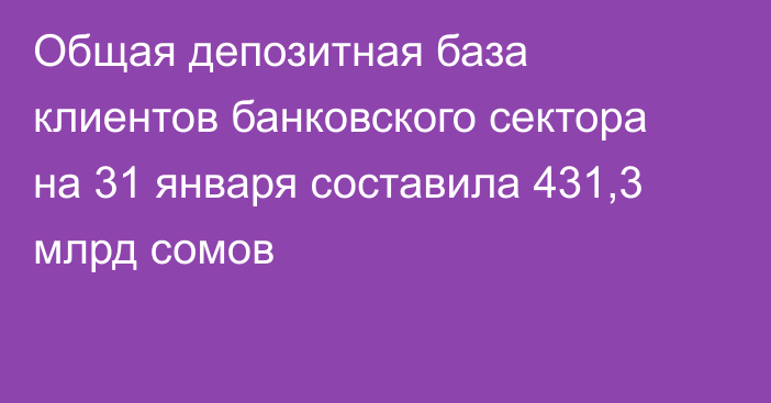 Общая депозитная база клиентов банковского сектора на 31 января составила 431,3 млрд сомов