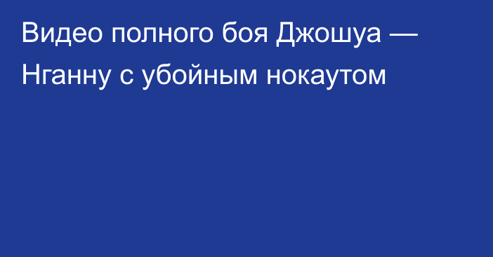 Видео полного боя Джошуа — Нганну с убойным нокаутом