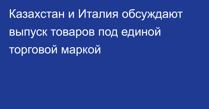 Казахстан и Италия обсуждают выпуск товаров под единой торговой маркой