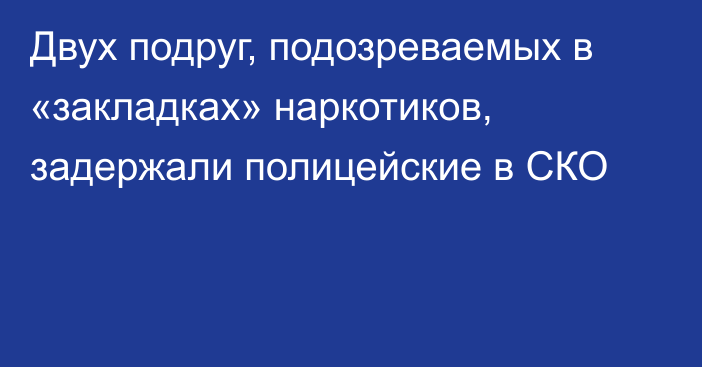 Двух подруг, подозреваемых в «закладках» наркотиков, задержали полицейские в СКО