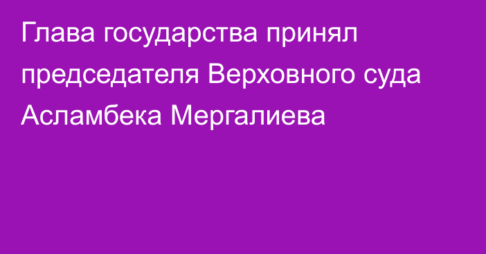 Глава государства принял председателя Верховного суда Асламбека Мергалиева