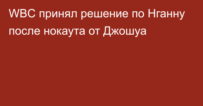 WBC принял решение по Нганну после нокаута от Джошуа