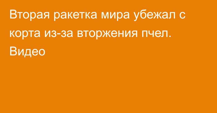 Вторая ракетка мира убежал с корта из-за вторжения пчел. Видео