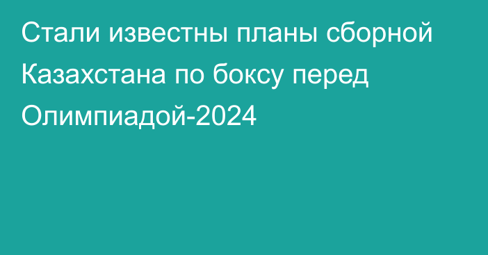 Стали известны планы сборной Казахстана по боксу перед Олимпиадой-2024