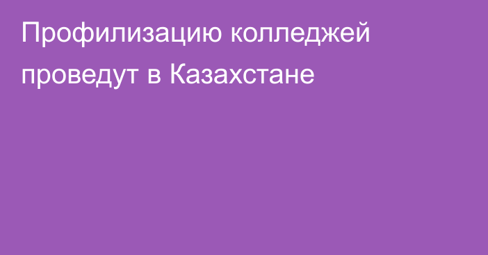 Профилизацию колледжей проведут в Казахстане