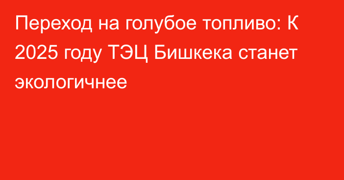 Переход на голубое топливо: К 2025 году ТЭЦ Бишкека станет экологичнее