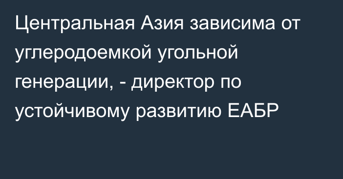 Центральная Азия зависима от углеродоемкой угольной генерации, - директор по устойчивому развитию ЕАБР