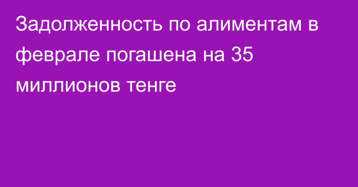 Задолженность по алиментам в феврале погашена на 35 миллионов тенге