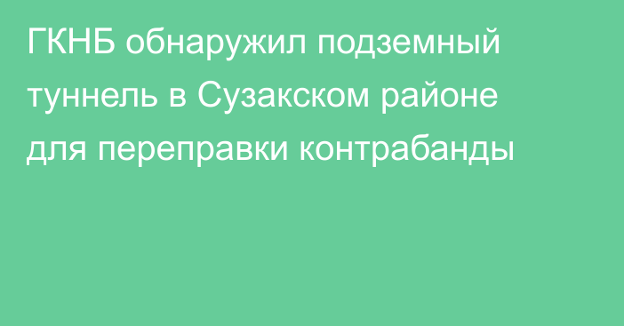 ГКНБ обнаружил подземный туннель в Сузакском районе для переправки контрабанды