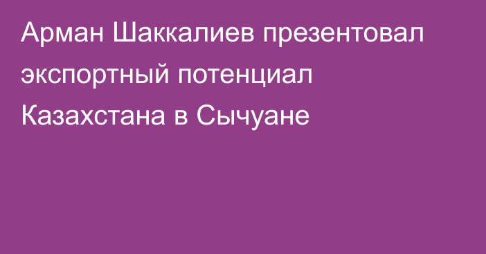 Арман Шаккалиев презентовал экспортный потенциал Казахстана в Сычуане