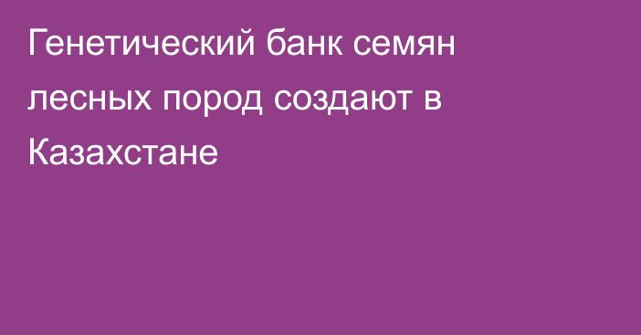 Генетический банк семян лесных пород создают в Казахстане