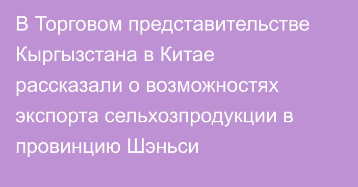 В Торговом представительстве Кыргызстана в Китае рассказали о возможностях экспорта сельхозпродукции в провинцию Шэньси