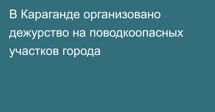 В Караганде организовано дежурство на поводкоопасных участков города