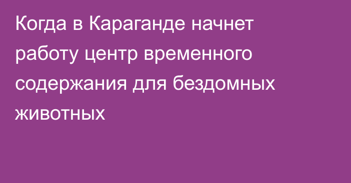 Когда в Караганде начнет работу центр временного содержания для бездомных животных