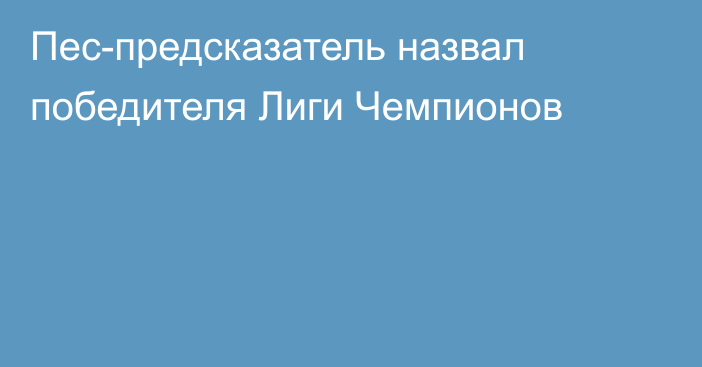 Пес-предсказатель назвал победителя Лиги Чемпионов