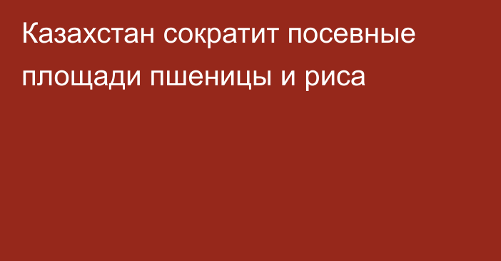 Казахстан сократит посевные площади пшеницы и риса