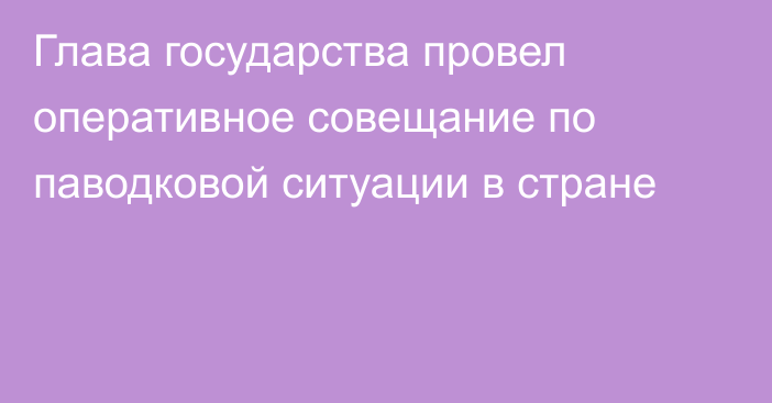 Глава государства провел оперативное совещание по паводковой ситуации в стране