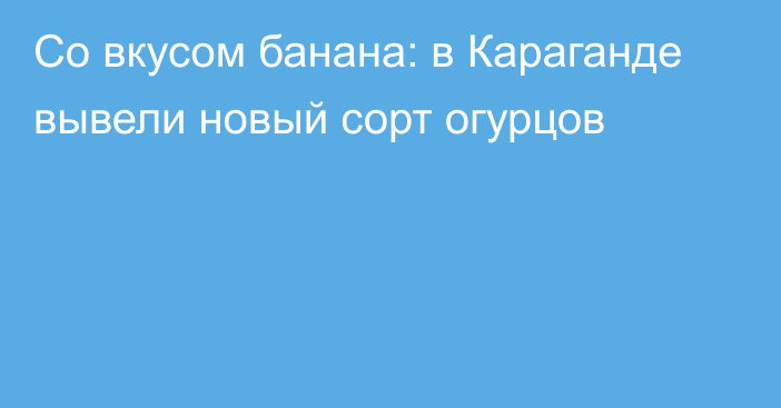 Со вкусом банана: в Караганде вывели новый сорт огурцов