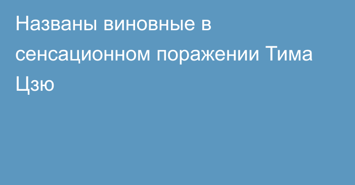 Названы виновные в сенсационном поражении Тима Цзю